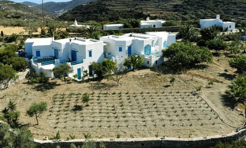 Garden view, Inner courtyard view