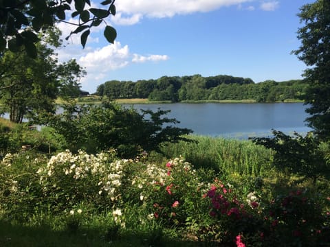 Ferienhaeuser Poenitz am See House in Scharbeutz