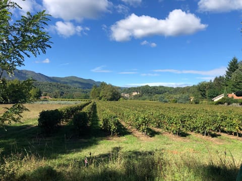 Natural landscape, Mountain view