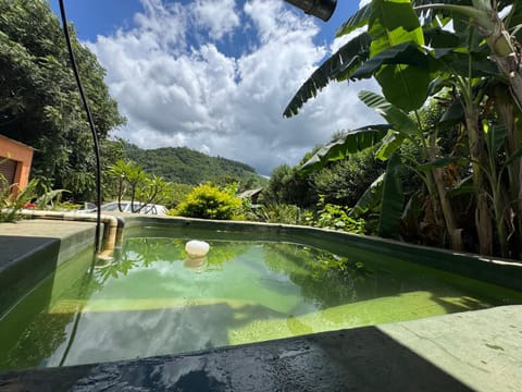 Garden, Swimming pool