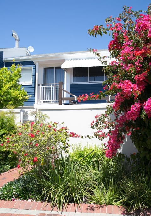 Waterfront - 10 Spinniker Knysna Quays-3 BR life on the water House in Knysna