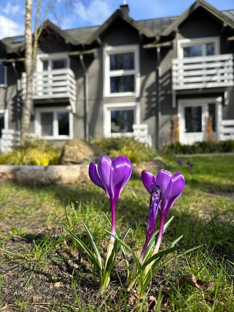 Apartamenty Marszallówka Apartment in Pomeranian Voivodeship