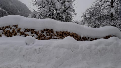 Nieslerhof Farm Stay in Mayrhofen