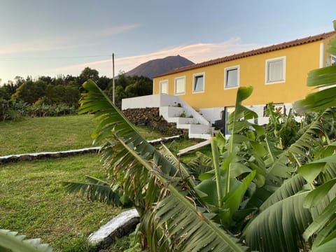 Facade/entrance, Garden