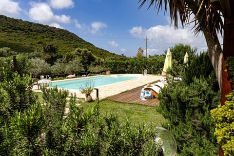 Garden, Swimming pool