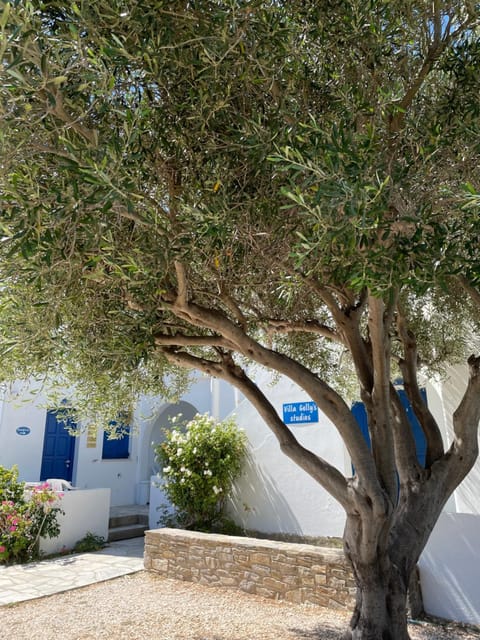 Facade/entrance, Garden, Logo/Certificate/Sign