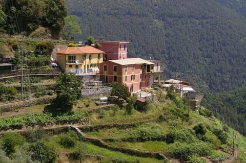 Cà Rosa de Drignana Apartment in Cinque Terre