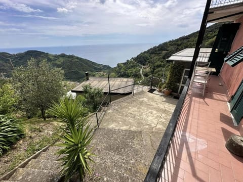 Cà Rosa de Drignana Apartment in Cinque Terre