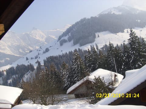 Bird's eye view, View (from property/room)