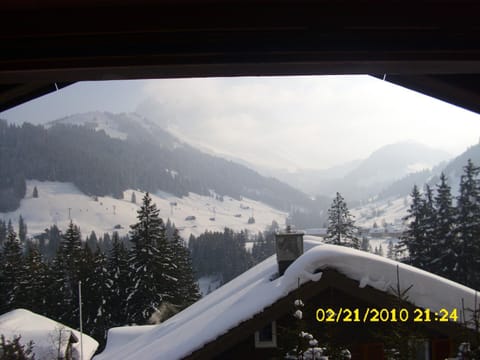 Bird's eye view, View (from property/room)