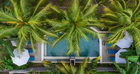 Patio, Pool view, Swimming pool, Swimming pool, Swimming pool