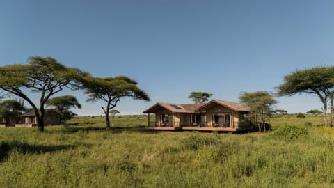 Property building, Natural landscape