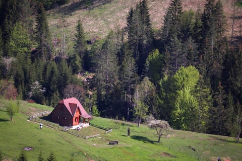 Apartment ''Planinsko selo'' Apartment in Zlatibor District, Serbia