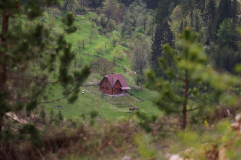 Apartment ''Planinsko selo'' Apartment in Zlatibor District, Serbia