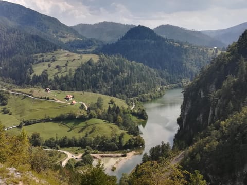 Neighbourhood, Natural landscape