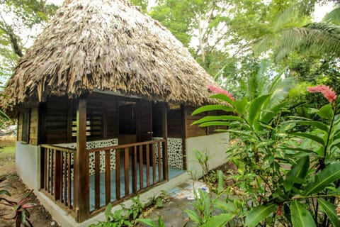 Cohune Palms River Cabanas Resort in Cayo District