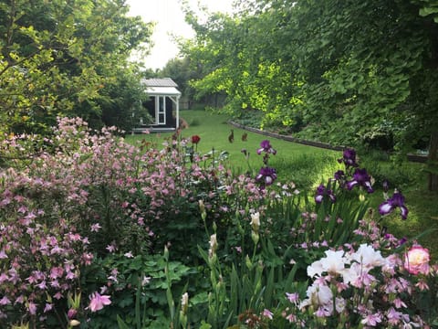Natural landscape, Garden, Garden view