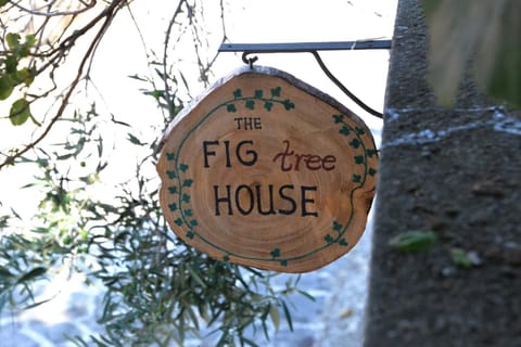 The fig tree house House in Evros, Greece