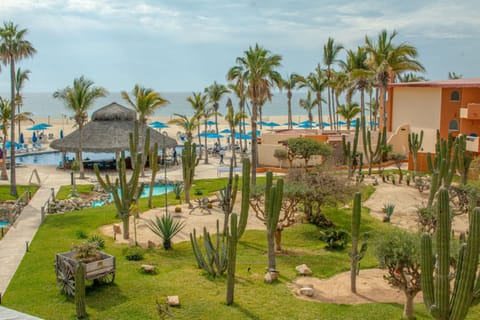 Garden, Pool view