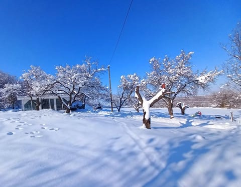 Honey hill apartment Fruska Gora Villa in Novi Sad