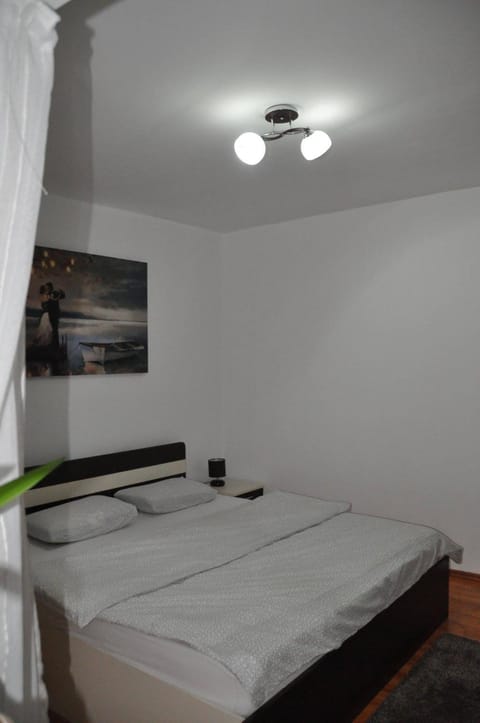 Mario Apartments Apartment in Timiș County