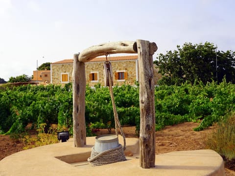 Property building, Natural landscape, Garden