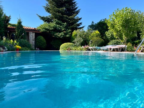 Day, Natural landscape, Garden, Garden view, Pool view, Swimming pool, sunbed