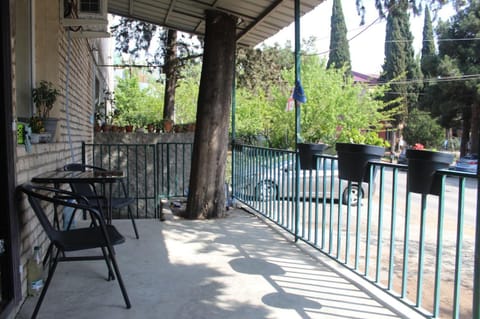 Patio, Spring, Garden view