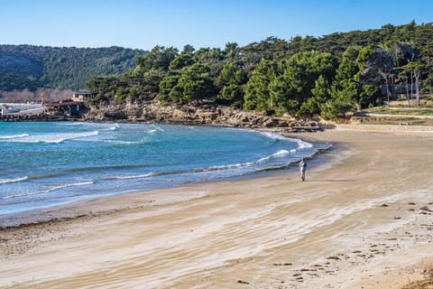 Nearby landmark, Natural landscape