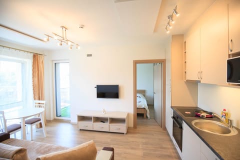 Kitchen or kitchenette, Living room, Seating area, Dining area