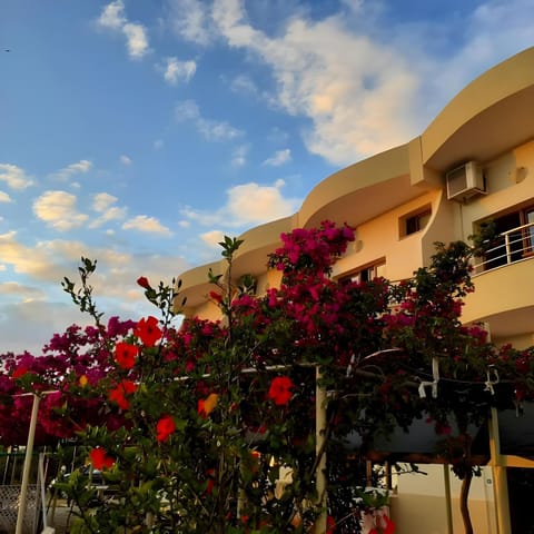 Property building, View (from property/room)