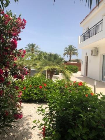 Villa Olivia, Coral Bay Villa in Peyia