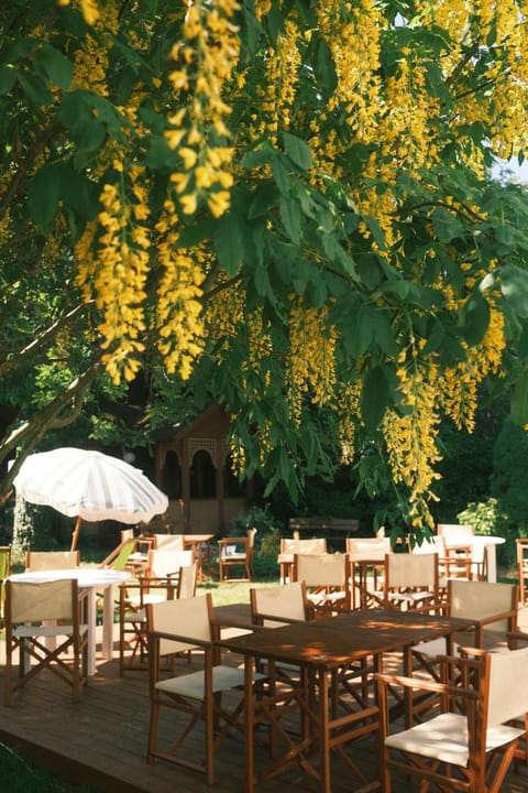 Restaurant/places to eat, Garden view, Dinner