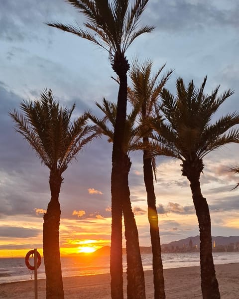 Beach, Sunset