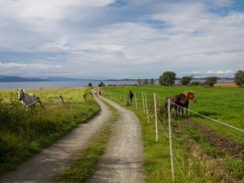 Summer, Fishing, Golfcourse, Horse-riding, Canoeing, Hiking, Animals, Sea view