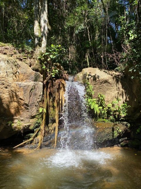 Natural landscape