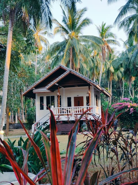 Photo of the whole room, Garden view
