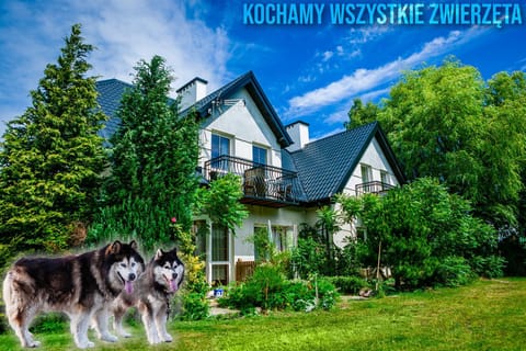 Property building, Facade/entrance, Floor plan, Pets