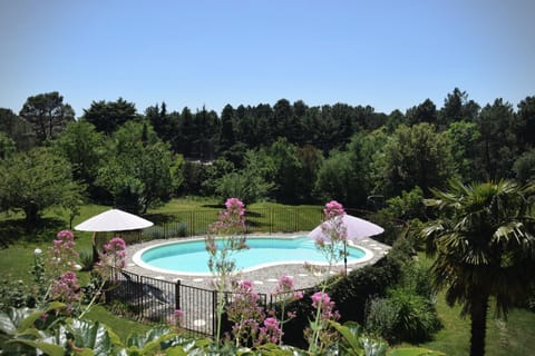 Garden, Swimming pool