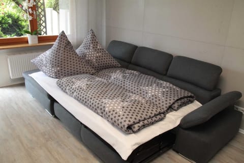 Bed, Photo of the whole room, Seating area