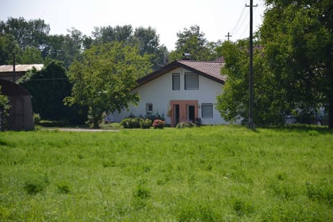 Property building, Garden, Garden view