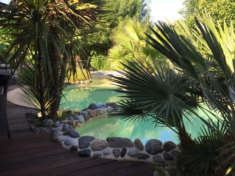 Summer, Pool view, Sunrise