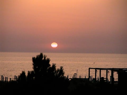 Balcony/Terrace, Balcony/Terrace