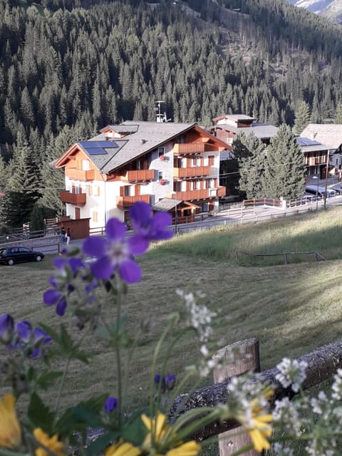 Casa Vacanze Michela Apartment in Santa Caterina di Valfurva