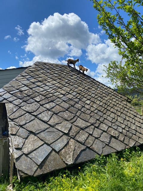 Etno Milikina ravan Farm Stay in Zlatibor District, Serbia