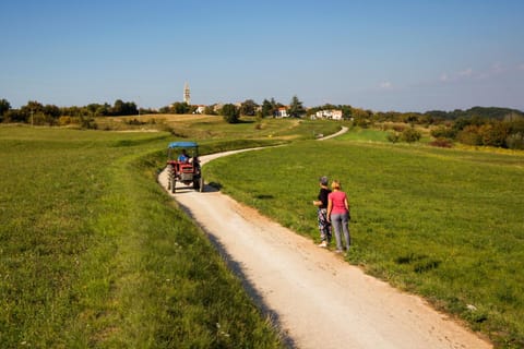 Natural landscape, Cycling