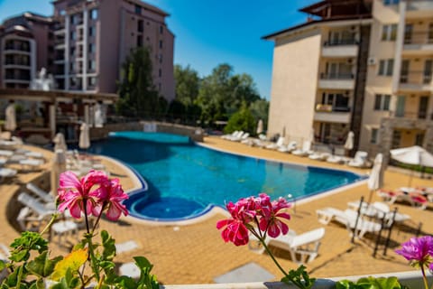 Pool view, Swimming pool
