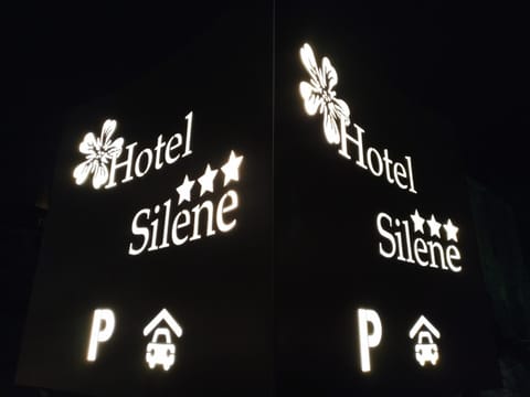 Night, Property logo or sign, Logo/Certificate/Sign, Street view, Parking