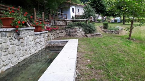 Garden, Garden view