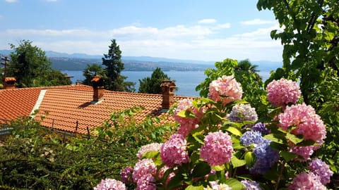 Sea view